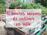 10 bonnes raisons de cultiver en ville