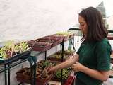 Bons plants locaux de Julie à Saint-Ouen (agriculture urbaine)