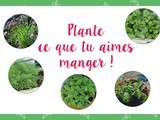 Plantez les herbes que vous aimez manger