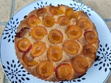 Tarte aux abricots et poudre d’amande