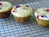 Muffins aux canneberges et aux amandes