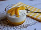 Mousse coco et coulis de mangue