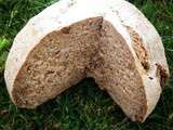 Espagne Séville : DÉGUSTATION pan ecologico _ « das brot »_