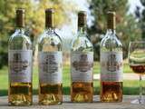 A la découverte du Sauternes