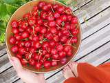 Clafoutis aux cerises