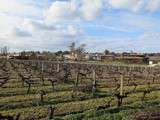 Déjeuner à la Grand’Vigne à Caudalie