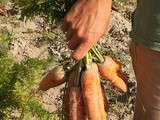 Haricots blancs comme chez mes grands parents