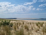 Java, un restaurant à la pointe du Cap Ferret