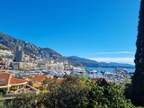 Que faire une journée à Monaco en famille