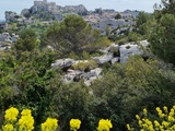 Road-Trip Sud de la France : que faire dans les Alpilles