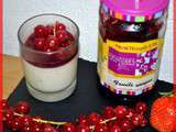 Panna cotta fruits rouge