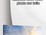 Photo sur toile – Mais ils sont fous ? Oh oui