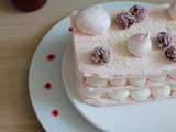 Millefeuille de meringues colorées, noix de coco & framboises. { Bataille Food #46}