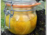 Citrons Confits au gros sel (lacto-fermentation)