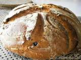 Pain aux noisettes et abricots secs sur poolish