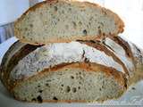 Pain tout levain