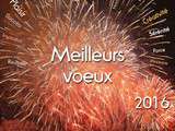 Bonne et heureuse année 2016