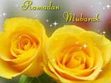 Ramadan moubarek 2015