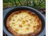 Clafoutis aux mirabelles… et à la pomme