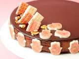 Entremets chocolat / vanille / noix