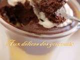 Trifles chocolat - citron