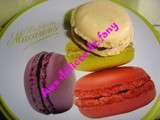 Macarons au cook'in  guy demarle 