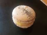 Macarons citron pavot