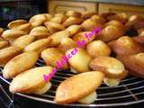 Madeleines recette laduree