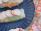 Rouleaux de printemps