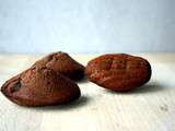 Madeleines chocolat – Cannelle