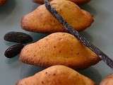 Madeleines fève tonka et vanille