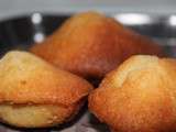 Madeleines vanille et gingembre confit