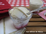 Crèmes au lait de coco et coulis de framboises, à la yaourtière