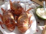 Langoustes de Oualidia