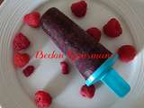 Popsicles aux fruits