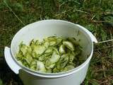 Salade de courgettes crues