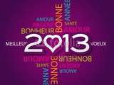 ~~ adieu 2012 ! vive 2013 ! ~~