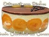 ~~ Entremet aux Pêches Miroir Chocolat au Caramel ~~