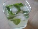 Mojito (sans alcool)