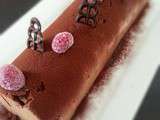 Bûche Choco-Framboise Express