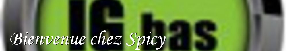 Recettes de Bienvenue chez Spicy