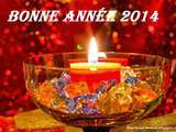 Bonne année 2014