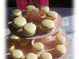 Macaron Au Caramel Beurre Salé