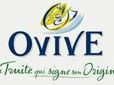 Ovive