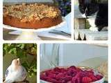 « Annabel au naturel » son gâteau au myrtille et son incroyable crumble