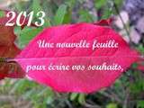 Bonne Année 2013