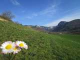 Truite du Vercors