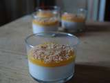 Panna -cotta mangue –coco Pour le réconfort