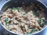 Avoine au curry et feuilles de chénopodes, carottes et panais