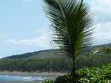 Etang Salé (Réunion) avec Jaques Higelin,  Pour une fois 